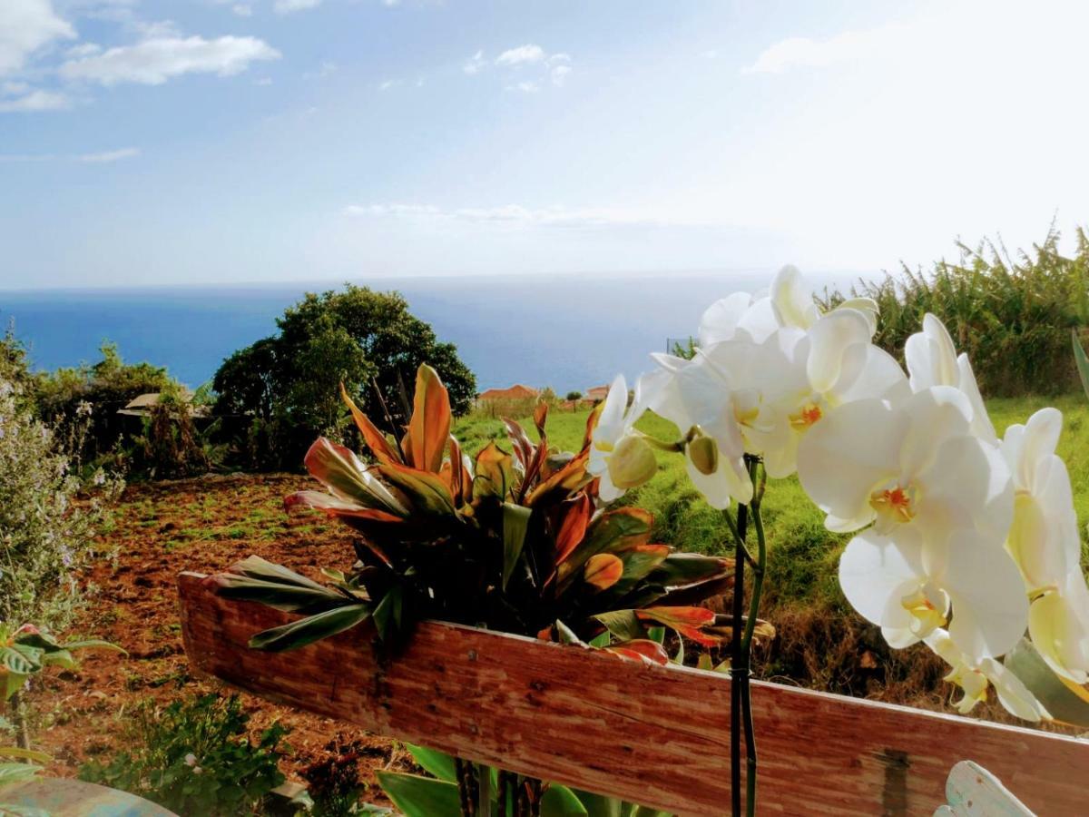 Estreito Da Calheta Casas Serenas מראה חיצוני תמונה