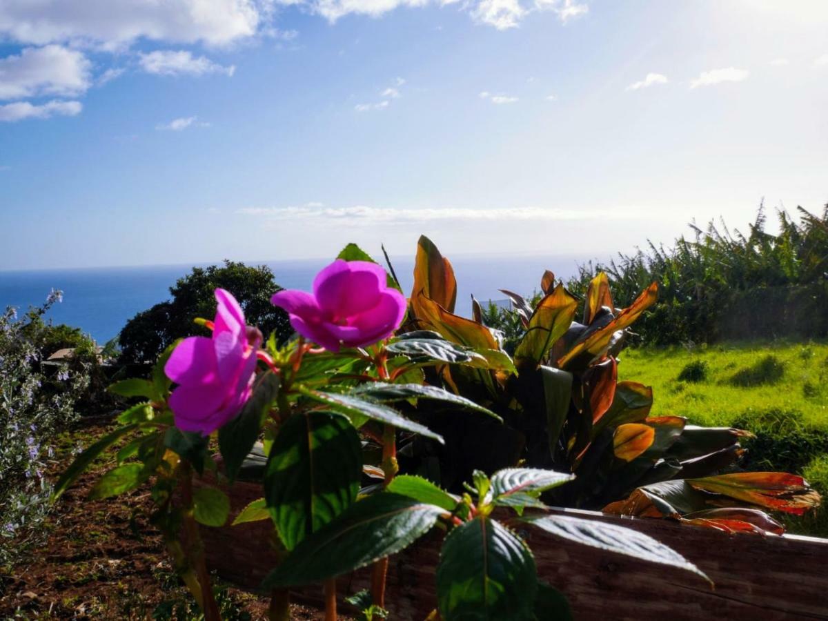 Estreito Da Calheta Casas Serenas מראה חיצוני תמונה
