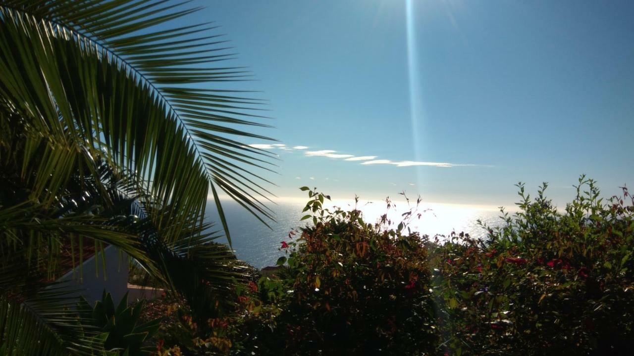 Estreito Da Calheta Casas Serenas מראה חיצוני תמונה